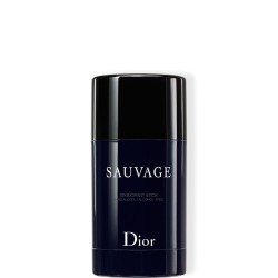 Dio Sauvage deodorante Stick Deodorante stick uomo