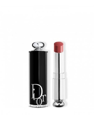 Dior Addict - Refillable Glossy Lipstick GLOSS BOIS DE ROSE 558