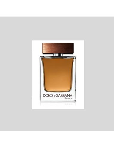 Dolce & Gabbana the one for men Eau de toilette spray 100 ml uomo
