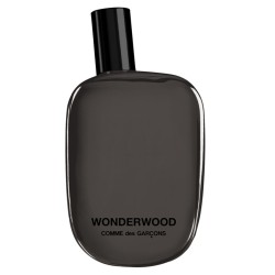 Comme des Garcons Wonderwood Eau de parfum Spray 100 ml Uomo
