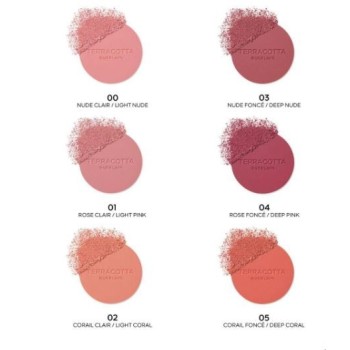 Guerlain Terracotta Blush 