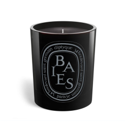 Diptyque Baies Noir Candela profumata da 300g