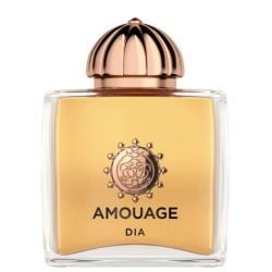 Amouage Dia Woman Eau De Parfum 100 ml - Produmo Donna