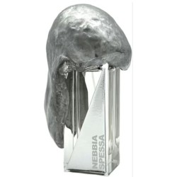 Filippo Sorcinelli Nebbia Spessa 50 ml - Profumo Unisex
